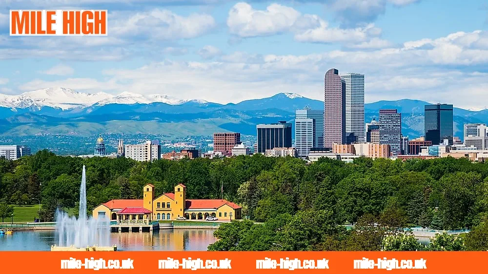 Audiences and professionals who benefit most from Mile High TV content and broadcasting services